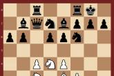 Ёж в шахматах: Учебник стратегии и тактики Основные принципы построения, идеи, философия 