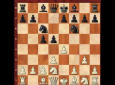 Варианты начала (дебютов) в шахматах – английской, каталонское, староиндийское и начало патцера