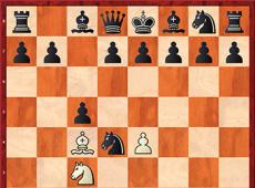 Правила игры в шахматы для начинающих: стратегии, комбинации, тактика