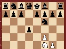Что такое гамбит в шахматах: ферзевый гамбит, королевский, северный, волжский Типичные ошибки и ловушки